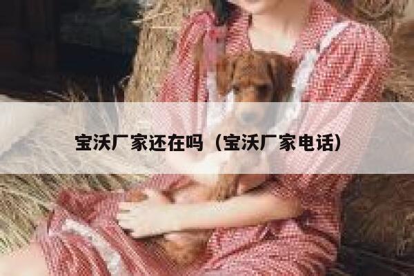 宝沃厂家还在吗(宝沃厂家电话) 第1张 宝沃厂家还在吗(宝沃厂家电话) 第1张