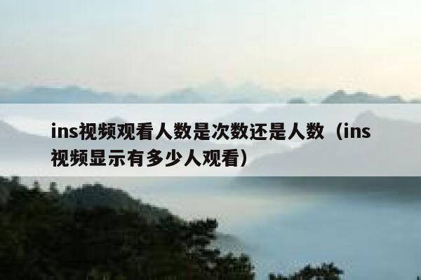 ins视频观看人数是次数还是人数（ins视频显示有多少人观看） 第1张