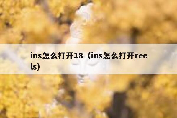 ins怎么打开18（ins怎么打开reels） 第1张