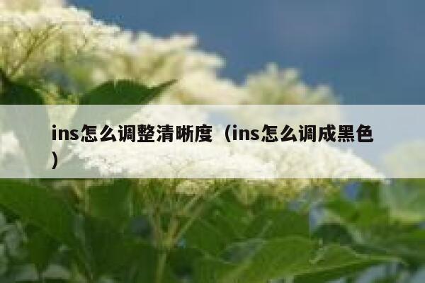 ins怎么调整清晰度(ins怎么调成黑色) 第1张 ins怎么调整清晰度(ins怎么调成黑色) 第1张