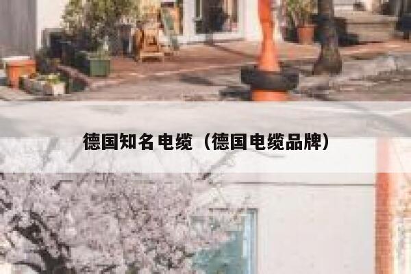 德国知名电缆(德国电缆品牌) 第1张 德国知名电缆(德国电缆品牌) 第1张