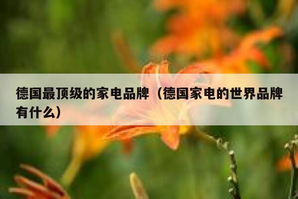 德国最顶级的家电品牌(德国家电的世界品牌有什么) 第1张 德国最顶级的家电品牌(德国家电的世界品牌有什么) 第1张