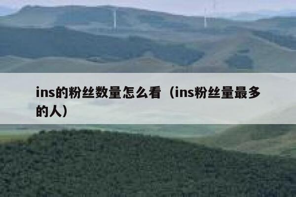 ins的粉丝数量怎么看(ins粉丝量最多的人) 第1张 ins的粉丝数量怎么看(ins粉丝量最多的人) 第1张