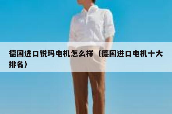 德国进口锐玛电机怎么样（德国进口电机十大排名） 第1张