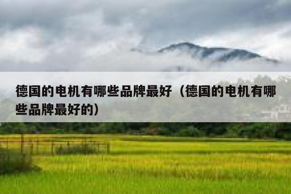 德国的电机有哪些品牌最好(德国的电机有哪些品牌最好的) 第1张 德国的电机有哪些品牌最好(德国的电机有哪些品牌最好的) 第1张