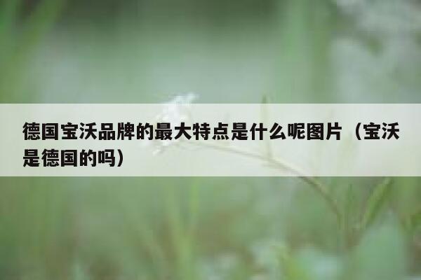 德国宝沃品牌的最大特点是什么呢图片(宝沃是德国的吗) 第1张 德国宝沃品牌的最大特点是什么呢图片(宝沃是德国的吗) 第1张