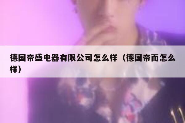 德国帝盛电器有限公司怎么样（德国帝而怎么样） 第1张