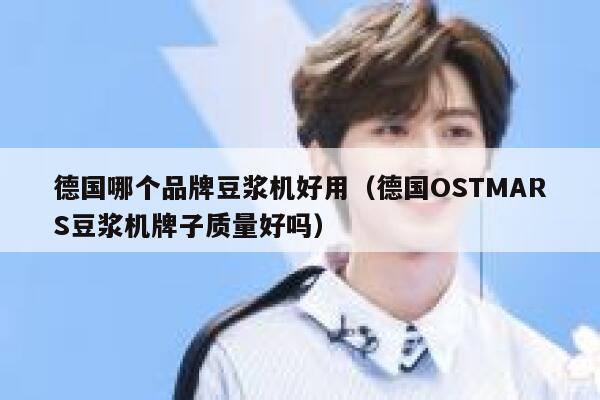 德国哪个品牌豆浆机好用（德国OSTMARS豆浆机牌子质量好吗） 第1张