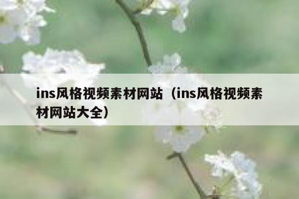 ins风格视频素材网站(ins风格视频素材网站大全) 第1张 ins风格视频素材网站(ins风格视频素材网站大全) 第1张