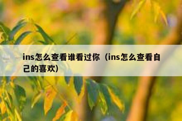 ins怎么查看谁看过你（ins怎么查看自己的喜欢） 第1张