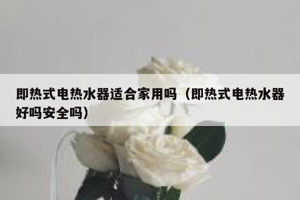 即热式电热水器适合家用吗（即热式电热水器好吗安全吗） 第1张