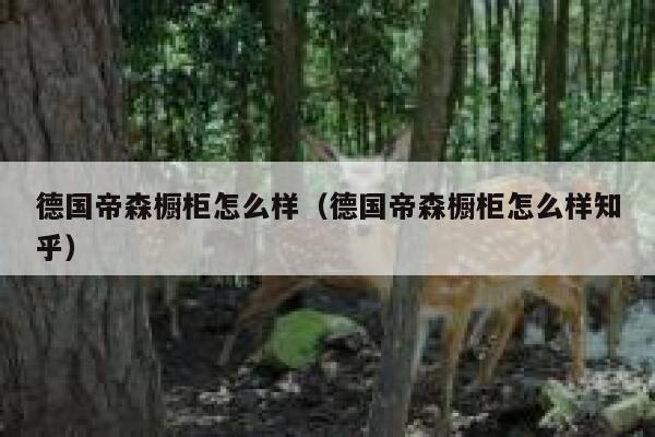 德国帝森橱柜怎么样（德国帝森橱柜怎么样知乎） 第1张
