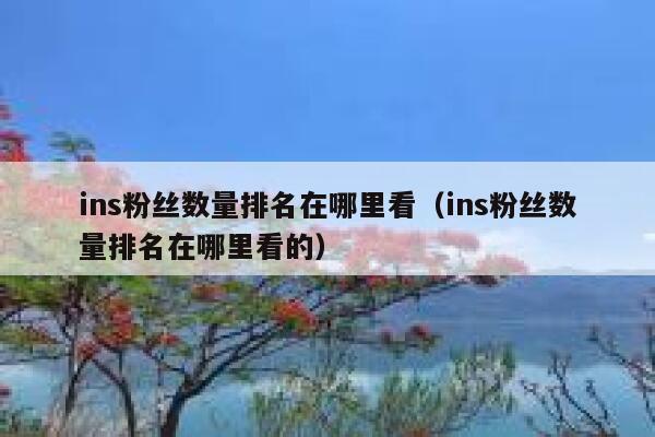 ins粉丝数量排名在哪里看(ins粉丝数量排名在哪里看的) 第1张 ins粉丝数量排名在哪里看(ins粉丝数量排名在哪里看的) 第1张