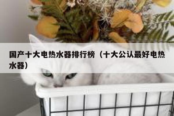 国产十大电热水器排行榜(十大公认最好电热水器) 第1张 国产十大电热水器排行榜(十大公认最好电热水器) 第1张