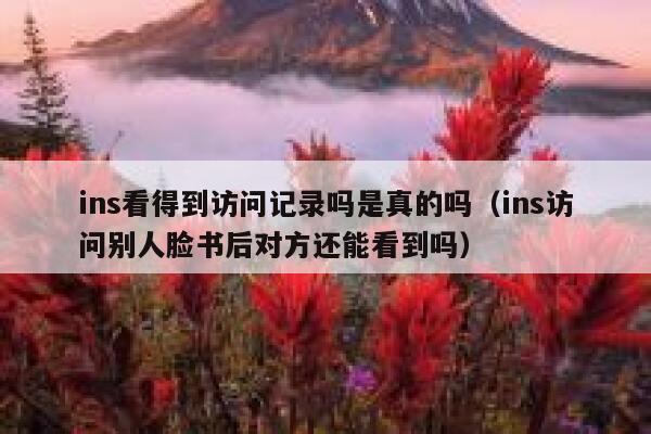 ins看得到访问记录吗是真的吗(ins访问别人脸书后对方还能看到吗) 第1张 ins看得到访问记录吗是真的吗(ins访问别人脸书后对方还能看到吗) 第1张