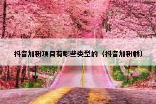 抖音加粉项目有哪些类型的(抖音加粉群) 第1张 抖音加粉项目有哪些类型的(抖音加粉群) 第1张