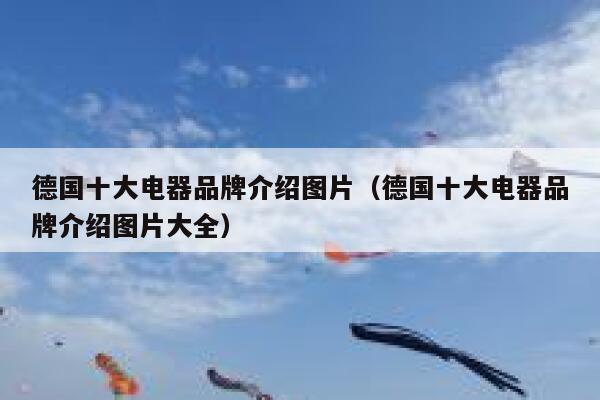 德国十大电器品牌介绍图片(德国十大电器品牌介绍图片大全) 第1张 德国十大电器品牌介绍图片(德国十大电器品牌介绍图片大全) 第1张