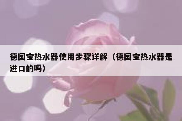 德国宝热水器使用步骤详解(德国宝热水器是进口的吗) 第1张 德国宝热水器使用步骤详解(德国宝热水器是进口的吗) 第1张