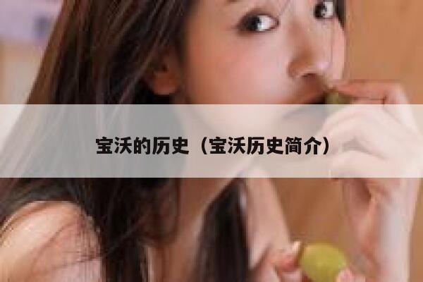 宝沃的历史(宝沃历史简介) 第1张 宝沃的历史(宝沃历史简介) 第1张