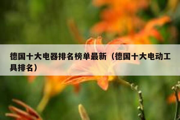 德国十大电器排名榜单最新(德国十大电动工具排名) 第1张 德国十大电器排名榜单最新(德国十大电动工具排名) 第1张
