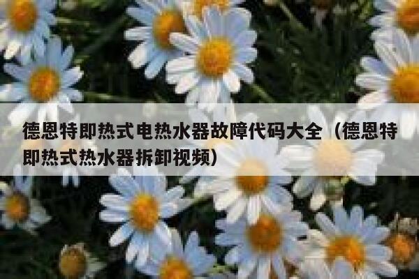 德恩特即热式电热水器故障代码大全（德恩特即热式热水器拆卸视频） 第1张