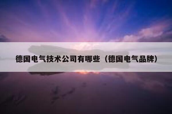 德国电气技术公司有哪些（德国电气品牌） 第1张
