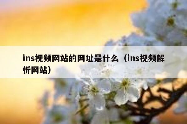 ins视频网站的网址是什么（ins视频解析网站） 第1张