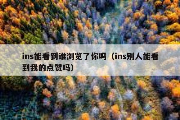 ins能看到谁浏览了你吗(ins别人能看到我的点赞吗) 第1张 ins能看到谁浏览了你吗(ins别人能看到我的点赞吗) 第1张