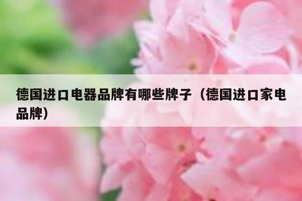德国进口电器品牌有哪些牌子(德国进口家电品牌) 第1张 德国进口电器品牌有哪些牌子(德国进口家电品牌) 第1张