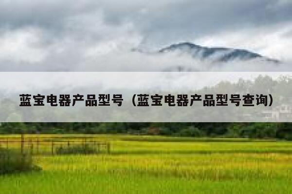 蓝宝电器产品型号(蓝宝电器产品型号查询) 第1张 蓝宝电器产品型号(蓝宝电器产品型号查询) 第1张