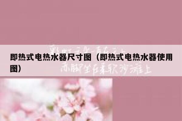 即热式电热水器尺寸图(即热式电热水器使用图) 第1张 即热式电热水器尺寸图(即热式电热水器使用图) 第1张