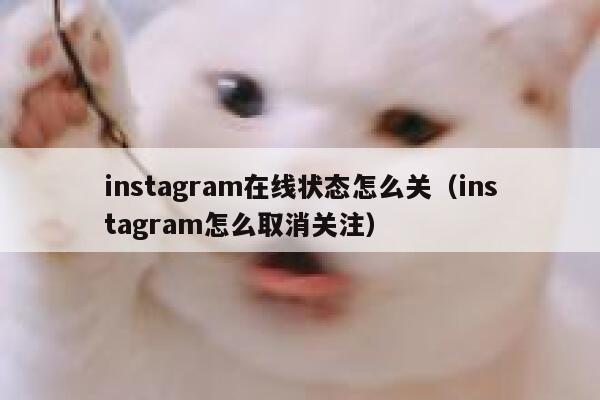 instagram在线状态怎么关(instagram怎么取消关注) 第1张 instagram在线状态怎么关(instagram怎么取消关注) 第1张