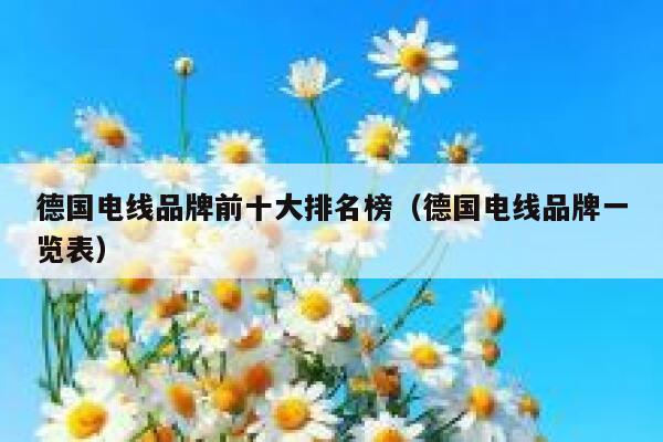 德国电线品牌前十大排名榜(德国电线品牌一览表) 第1张 德国电线品牌前十大排名榜(德国电线品牌一览表) 第1张