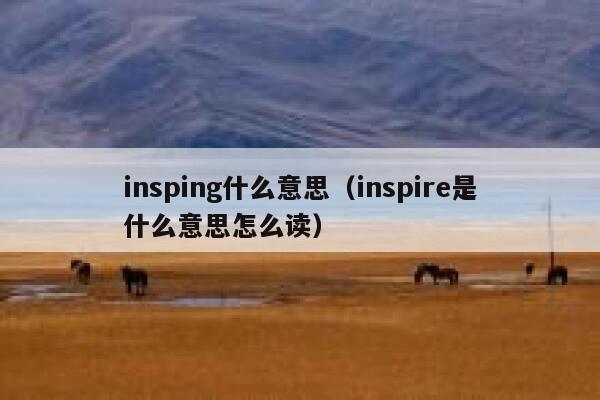 insping什么意思(inspire是什么意思怎么读) 第1张 insping什么意思(inspire是什么意思怎么读) 第1张