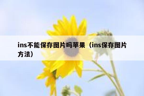 ins不能保存图片吗苹果(ins保存图片方法) 第1张 ins不能保存图片吗苹果(ins保存图片方法) 第1张