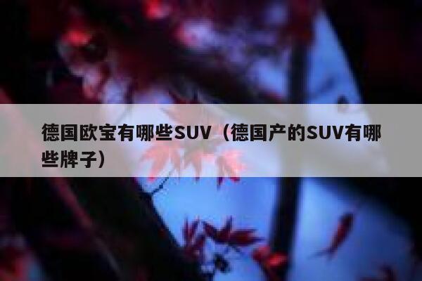德国欧宝有哪些SUV(德国产的SUV有哪些牌子) 第1张 德国欧宝有哪些SUV(德国产的SUV有哪些牌子) 第1张