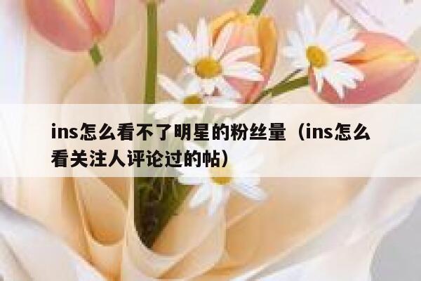 ins怎么看不了明星的粉丝量(ins怎么看关注人评论过的帖) 第1张 ins怎么看不了明星的粉丝量(ins怎么看关注人评论过的帖) 第1张