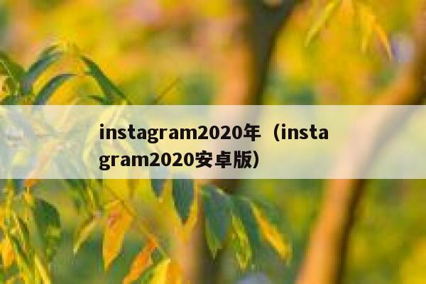 instagram2020年（instagram2020安卓版） 第1张