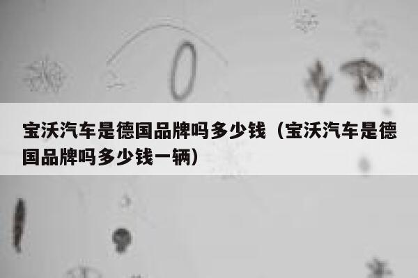 宝沃汽车是德国品牌吗多少钱（宝沃汽车是德国品牌吗多少钱一辆） 第1张