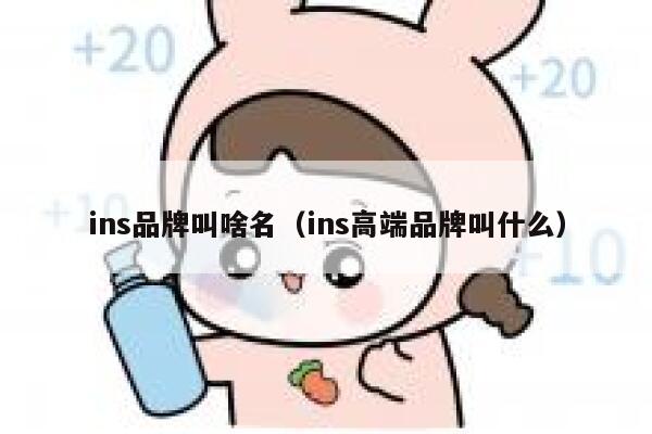 ins品牌叫啥名(ins高端品牌叫什么) 第1张 ins品牌叫啥名(ins高端品牌叫什么) 第1张