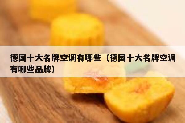 德国十大名牌空调有哪些(德国十大名牌空调有哪些品牌) 第1张 德国十大名牌空调有哪些(德国十大名牌空调有哪些品牌) 第1张