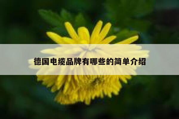 德国电缆品牌有哪些的简单介绍 第1张 德国电缆品牌有哪些的简单介绍 第1张