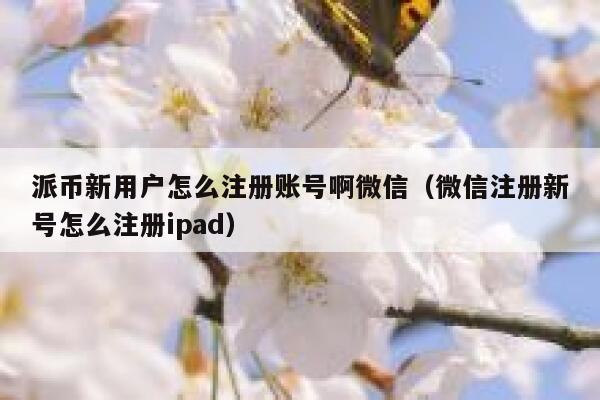 派币新用户怎么注册账号啊微信(微信注册新号怎么注册ipad) 第1张 派币新用户怎么注册账号啊微信(微信注册新号怎么注册ipad) 第1张