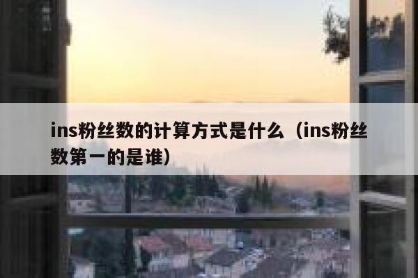 ins粉丝数的计算方式是什么（ins粉丝数第一的是谁） 第1张
