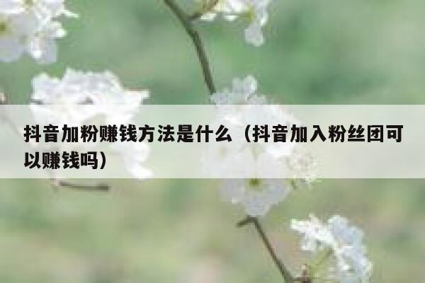 抖音加粉赚钱方法是什么(抖音加入粉丝团可以赚钱吗) 第1张 抖音加粉赚钱方法是什么(抖音加入粉丝团可以赚钱吗) 第1张