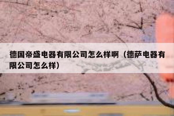 德国帝盛电器有限公司怎么样啊（德萨电器有限公司怎么样） 第1张