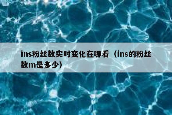 ins粉丝数实时变化在哪看(ins的粉丝数m是多少) 第1张 ins粉丝数实时变化在哪看(ins的粉丝数m是多少) 第1张