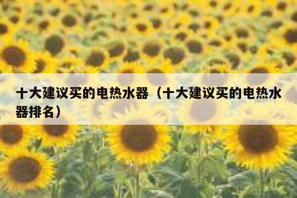 十大建议买的电热水器(十大建议买的电热水器排名) 第1张 十大建议买的电热水器(十大建议买的电热水器排名) 第1张