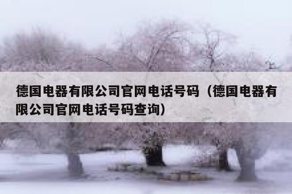 德国电器有限公司官网电话号码(德国电器有限公司官网电话号码查询) 第1张 德国电器有限公司官网电话号码(德国电器有限公司官网电话号码查询) 第1张