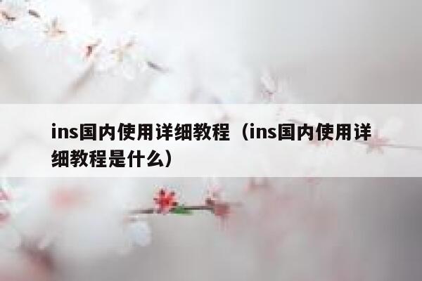 ins国内使用详细教程（ins国内使用详细教程是什么） 第1张
